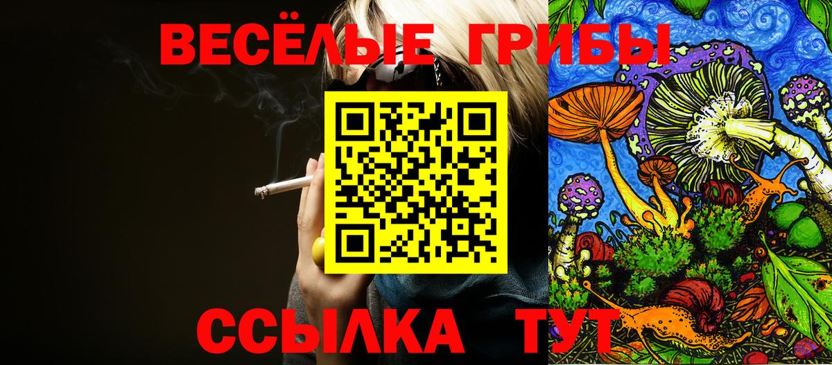 Псилоцибиновые грибы мицелий  Галлюциногенные грибы Magic Shrooms  Саров  Вход с VPN 